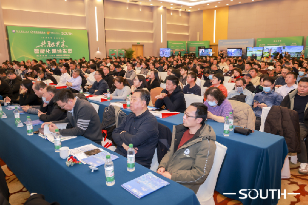 ̫������tyc4633