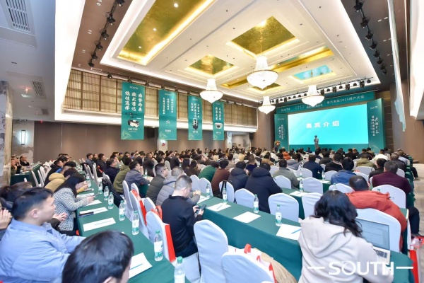 ̫������tyc4633