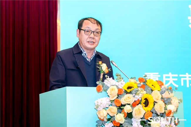 ̫������tyc4633