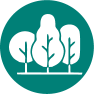 ̫������tyc4633