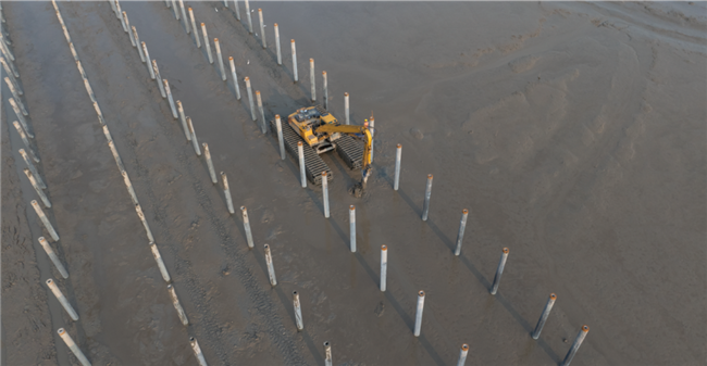 ̫������tyc4633