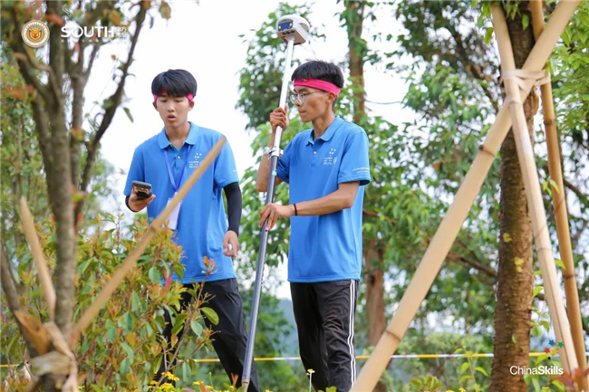 ̫������tyc4633