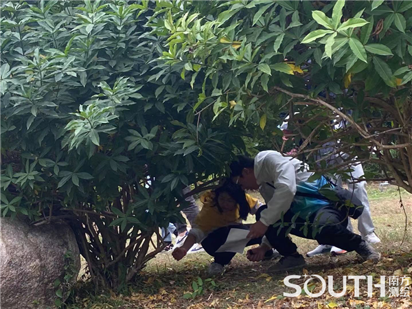 ̫������tyc4633