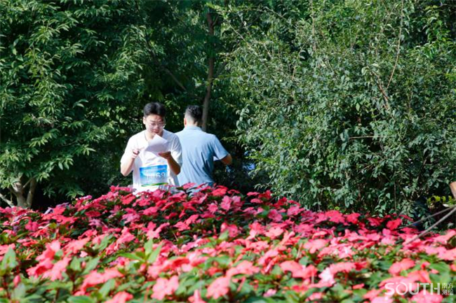 ̫������tyc4633