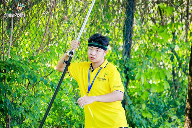 ̫������tyc4633