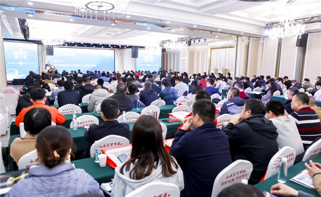 ̫������tyc4633