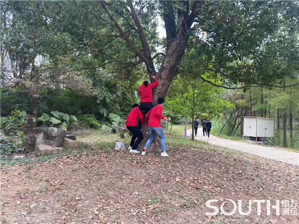 ̫������tyc4633