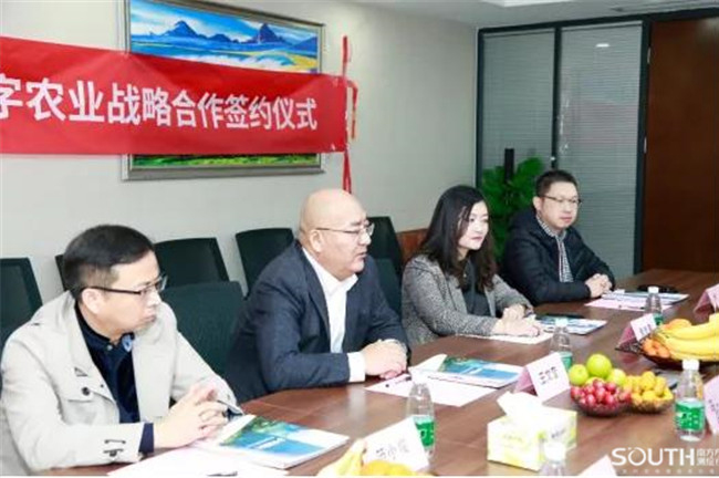 ̫������tyc4633