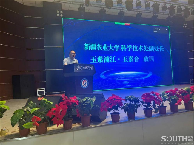 ̫������tyc4633