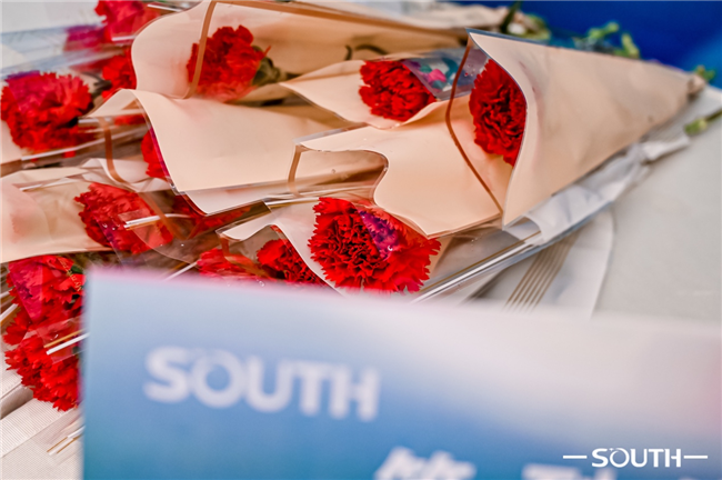 ̫������tyc4633