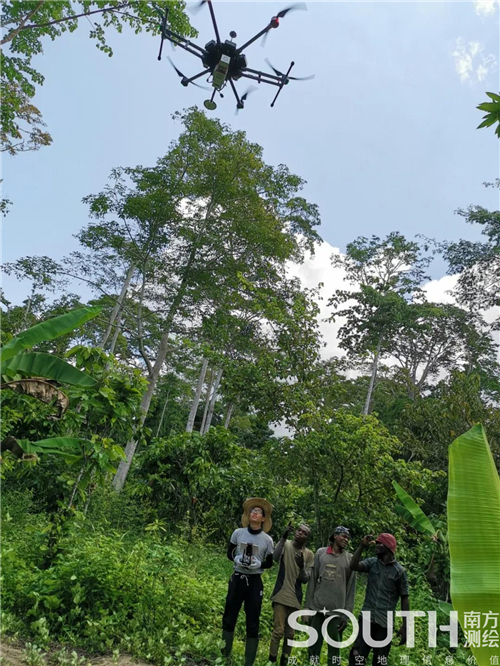 ̫������tyc4633