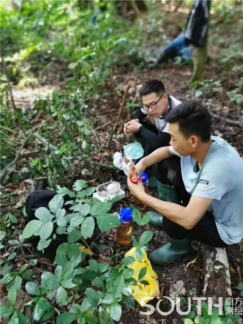 ̫������tyc4633