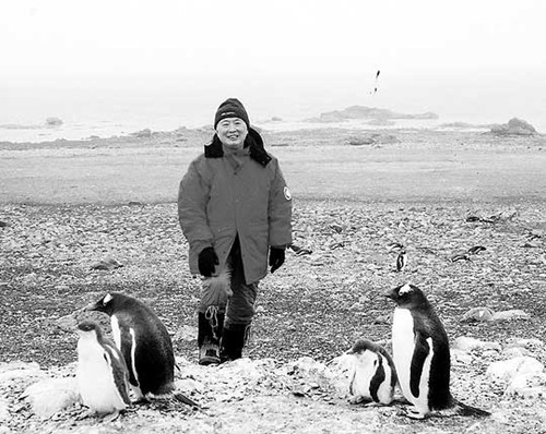 ̫������tyc4633