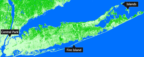 ̫������tyc4633