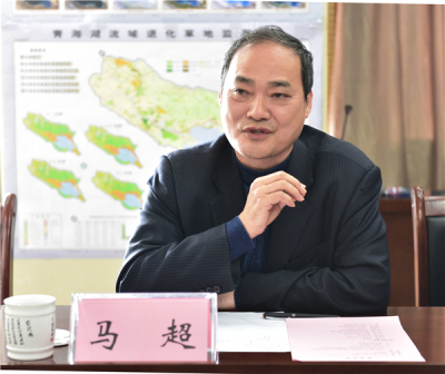 ̫������tyc4633