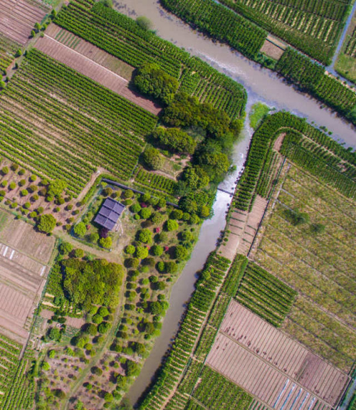 ̫������tyc4633